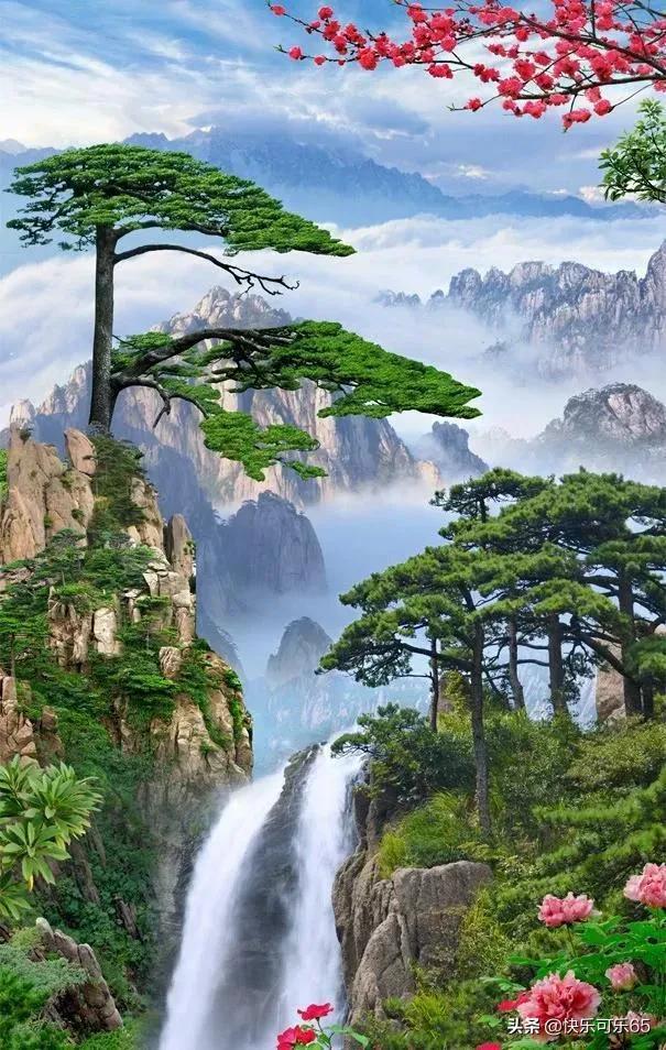余氯水质监测仪