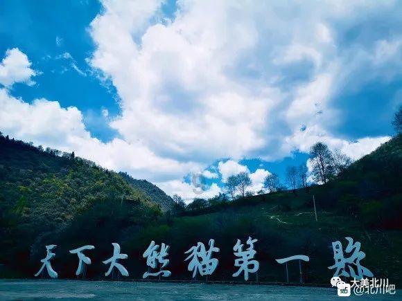 是不是老实人容易吃亏？游戏画面